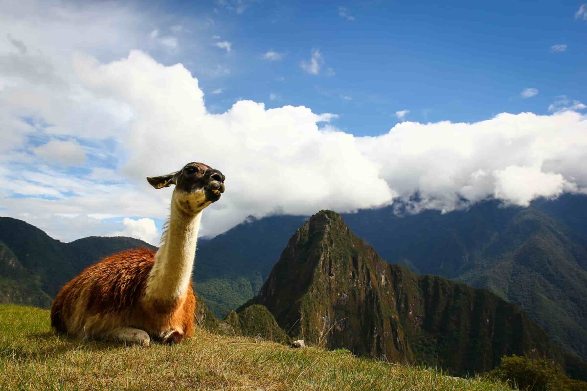 Cusco and Machu Picchu Tour 3 Days